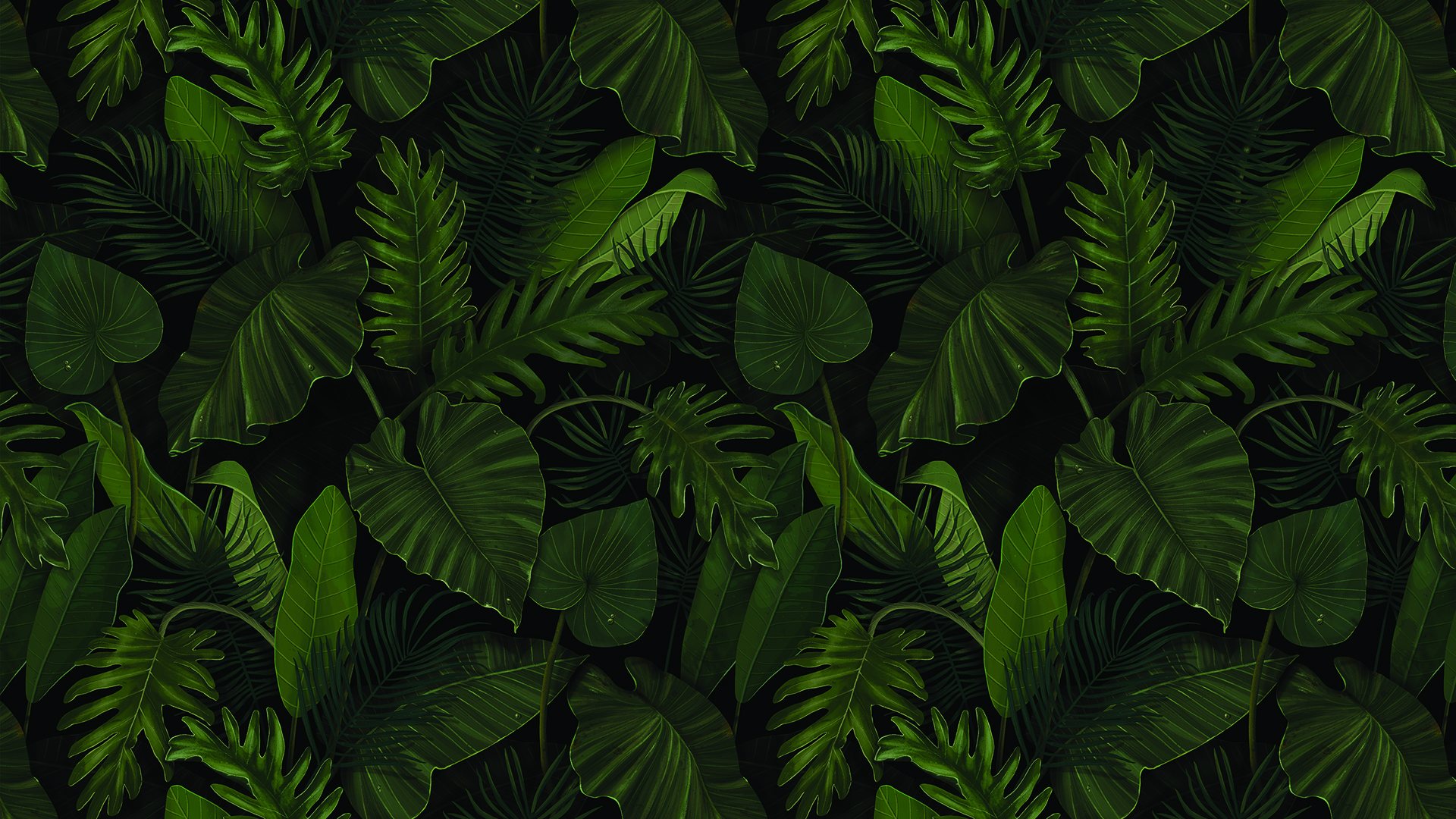 Newleaf Botanical Wallpaper