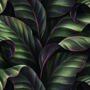 Plum Tint Botanical Wallpaper